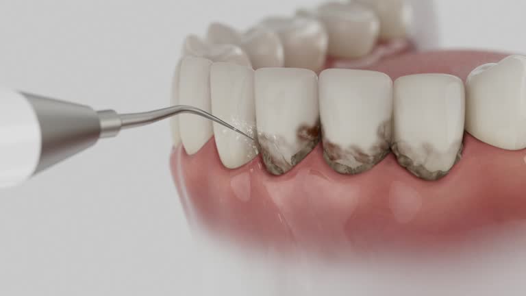Reliable Dental contractor in Montz, LA by Dentist Open Now